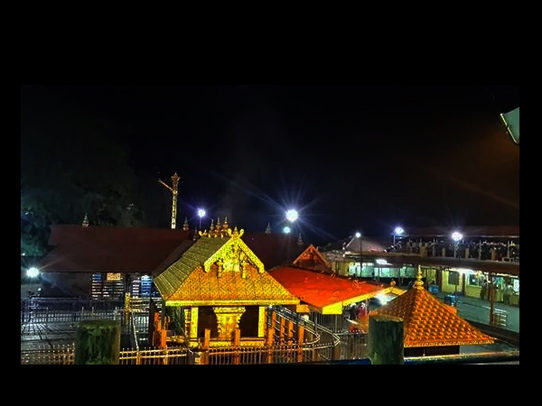 കൊടുംകാട്ടിലെ പൂങ്കാവനം