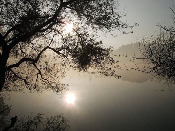 ഏഴകളിന് ഊട്ടി