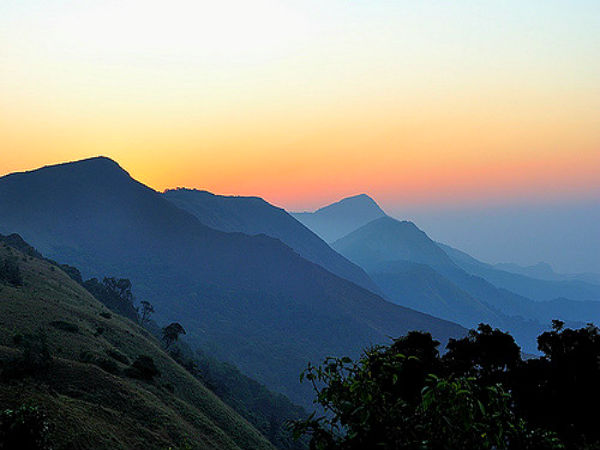 തടിയന്റമോള്
