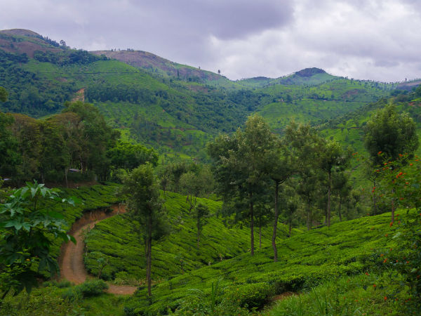 നീലഗീരീസ് ബയോസ്ഫിയര് റിസര്വ്വ്