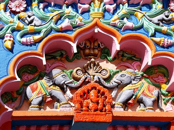 ജീവികളുടെ കഥ
