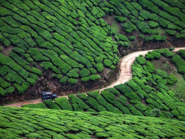 മൂന്നാര്