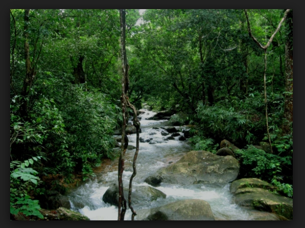 ദേവികുളം