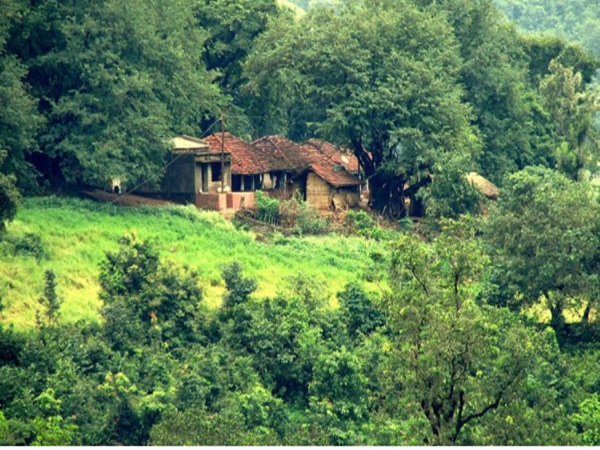 അരാകുവാലി