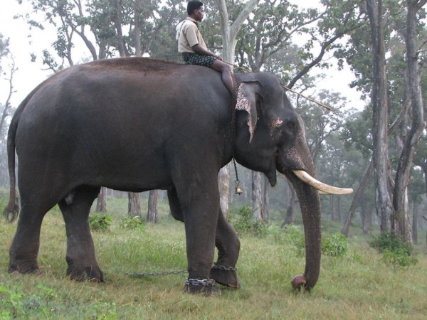 മനസ്സിനെ പിടിച്ചുവയ്ക്കുന്ന ഇടം