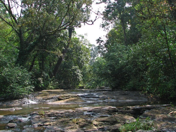 വഴി മറക്കുന്നയിടം