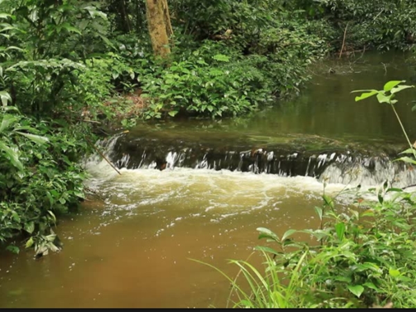 18 ചെക്ക് ഡാമുകള്