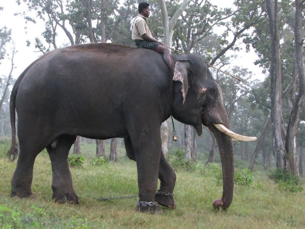 ശ്രദ്ധിക്കാന്