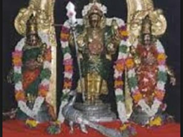 സിക്കല്