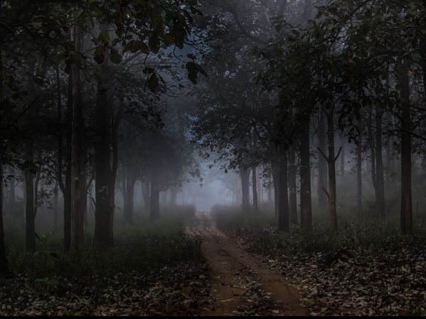കബനിയുടെ തീരങ്ങള്