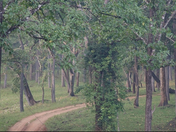 കബനി റിസര്വ്വ് ഫോറസ്റ്റ്