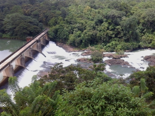 വനത്തിനുള്ളിലെ ഡാമുകള്
