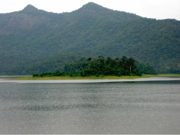 ചിമ്മിണി വന്യജീവി