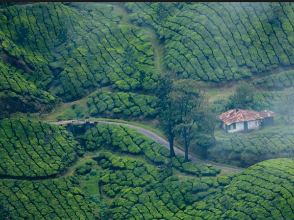 മൂന്നാര്
