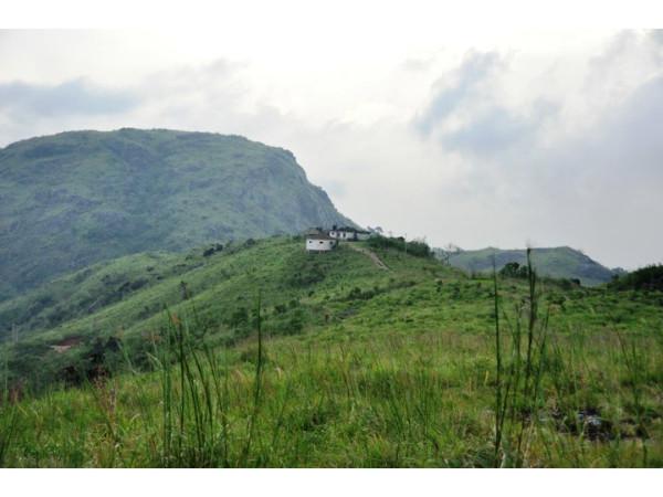ഇല വീഴാത്ത സ്ഥലം