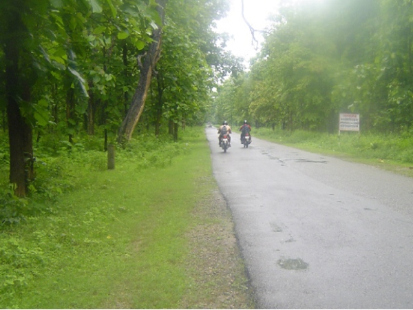 മൂന്നാര്-കൊടൈക്കനാല് റൂട്ട്