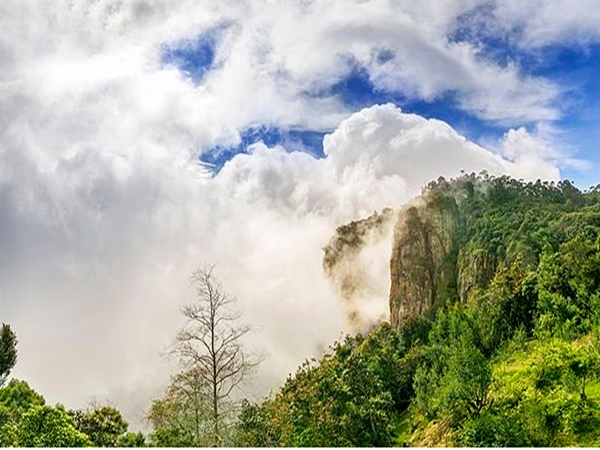 പറ്റിയ സമയം
