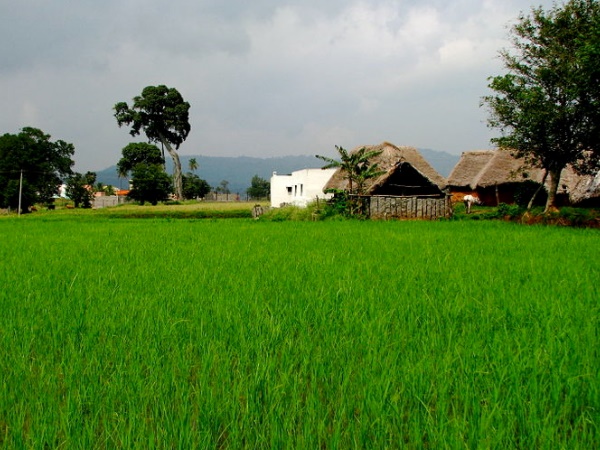 യേലാഗിരി