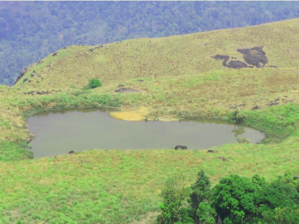 ചെമ്പ്ര, വയനാട്