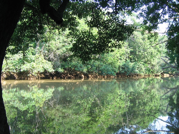 കുറുവയെന്നാല്