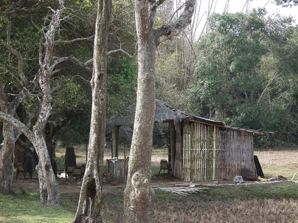 താമസസൗകര്യം