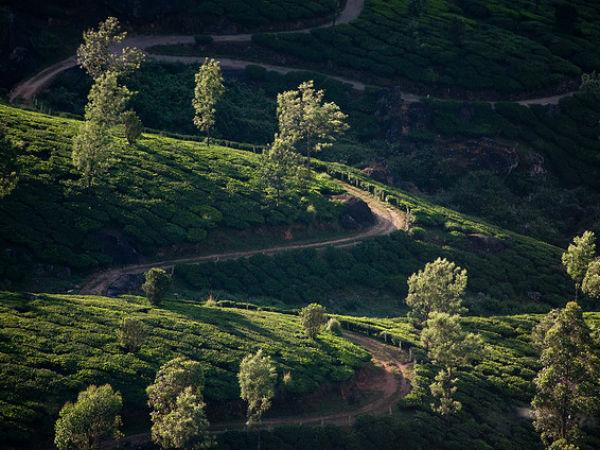 മൂന്നാര്
