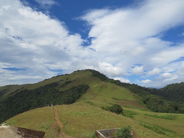 പൈതല്മല