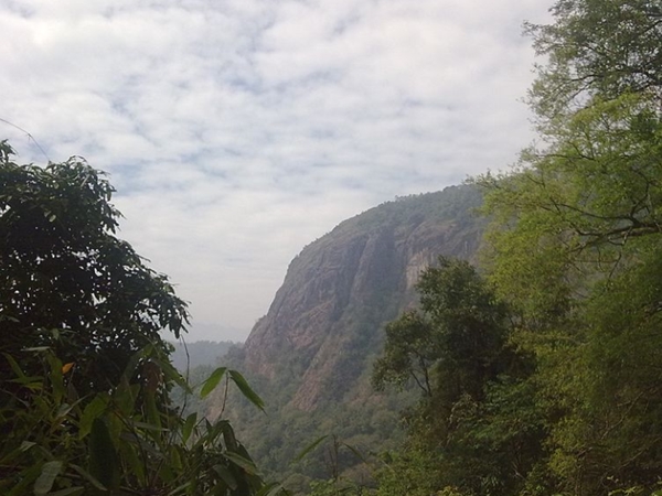 ട്രക്കിങ്ങിനു പോകാം നീലിമലയില്