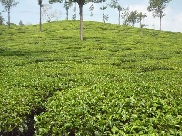 മികച്ച സമയം
