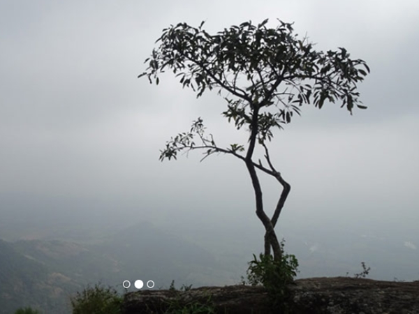 മനോഹരമായ സമതലങ്ങള്