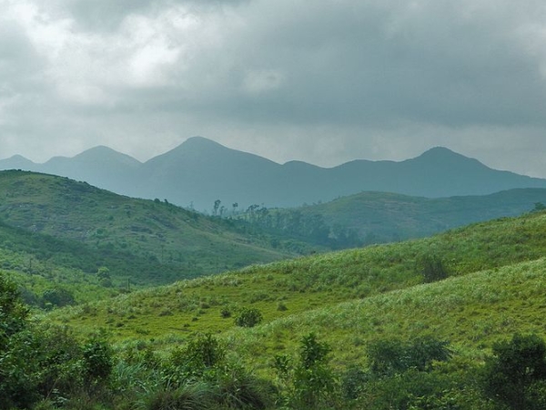 കോതക്കുഴി വെള്ളച്ചാട്ടം