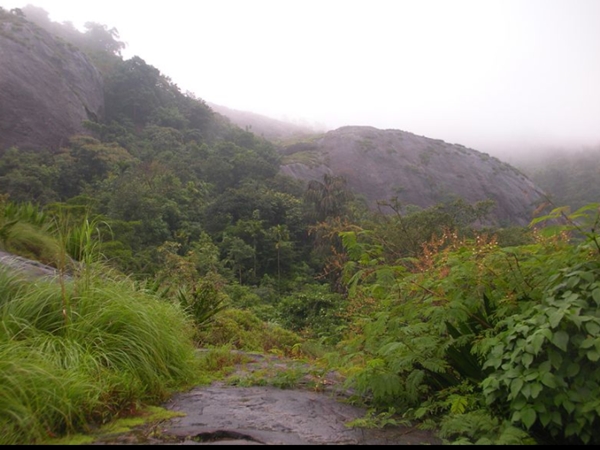 മീനിന്റെ ചെതുമ്പല് പോലെ
