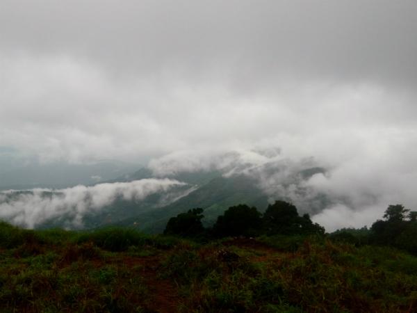 പൈതല്മല