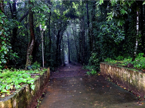 പരശുരാമന് സ്ഥാപിച്ച കാവ്