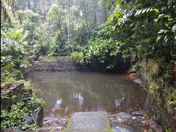 മ്യൂസിയവും പാര്ക്കും