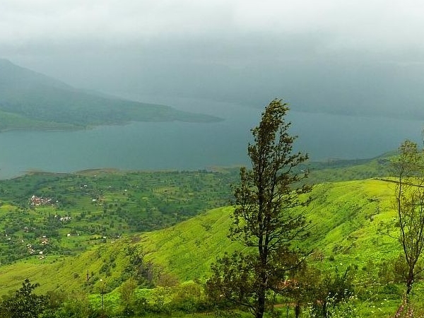 സിഡ്നി പോയന്റ്