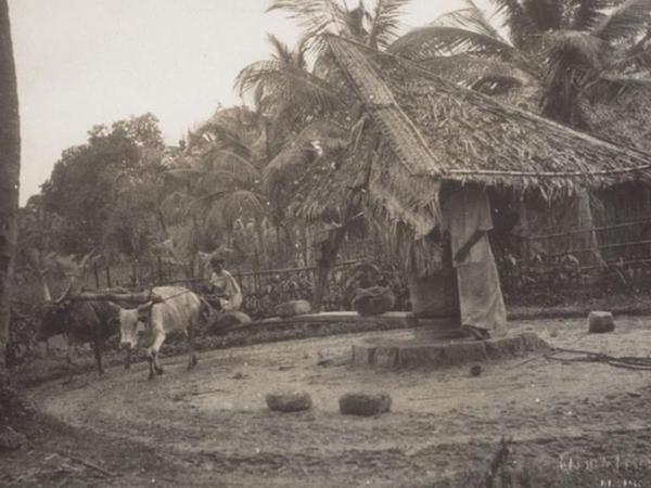 പഴയ ചിത്രങ്ങള്