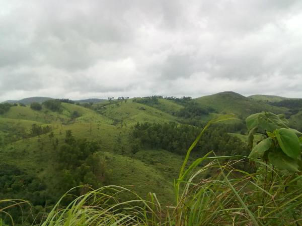 മൊട്ടക്കുന്ന്