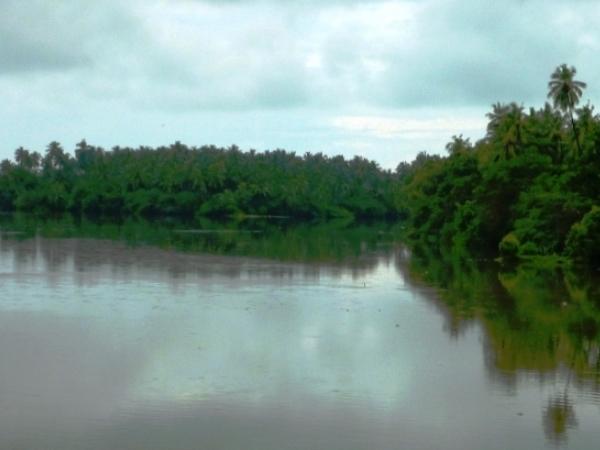അരിയന്കുപ്പം നദി