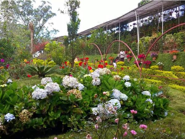 റോസ് ഗാര്ഡന് കഴിഞ്ഞ്