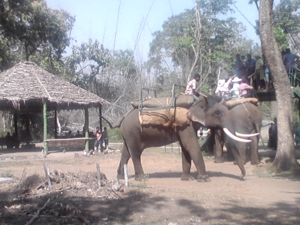 നിസ്സര്ഗ്ഗധാം