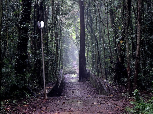 2700 കൊല്ലം പഴക്കം