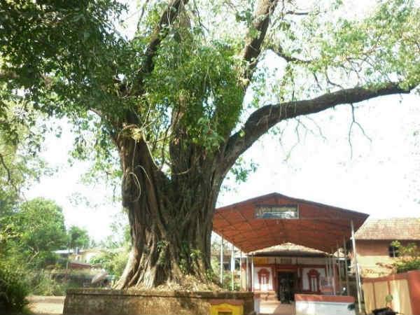 അക്ലിയത്ത് ശിവ ക്ഷേത്രം, കണ്ണൂർ