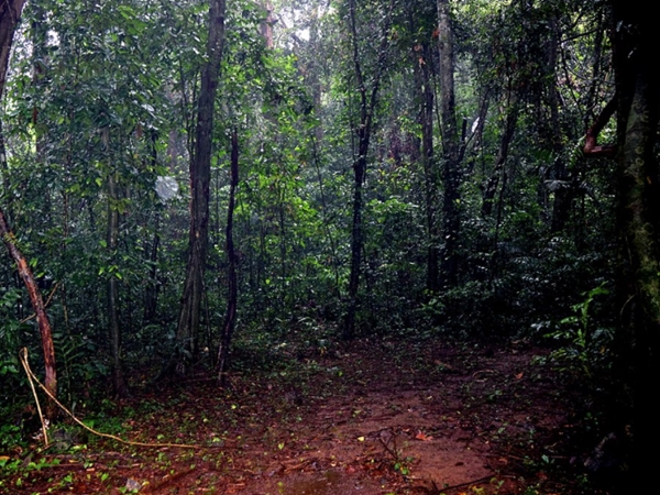പുരാണത്തിലെ ഇരിങ്ങോള്