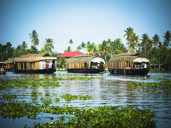 ആലപ്പുഴ