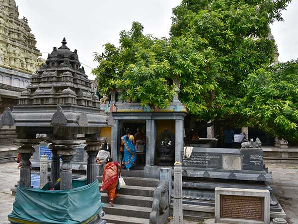 കൈലാസ നാഥര് ക്ഷേത്രം
