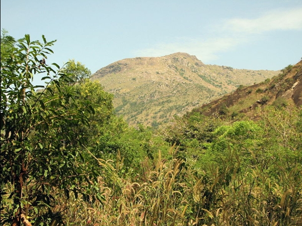 തിരുവിതാംകൂര് രാജാക്കന്മാരുടെ കോട്ട