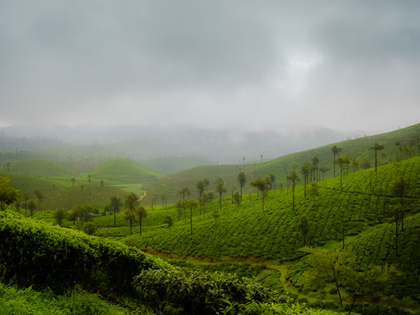 വാല്പ്പാറ, തമിഴ്നാട്