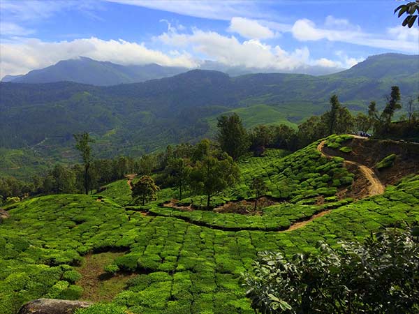 മൂന്നാറിലേക്ക് യാത്ര തിരിക്കാൻ അനുയോജ്യമായ സമയം
