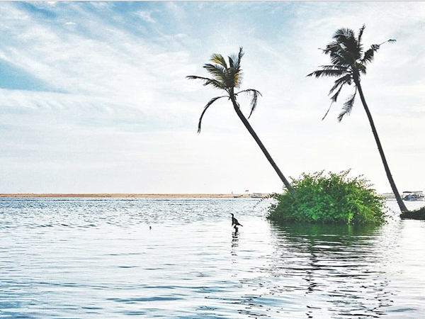 പൂവാര്